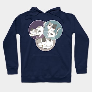 Three Cats Hoodie